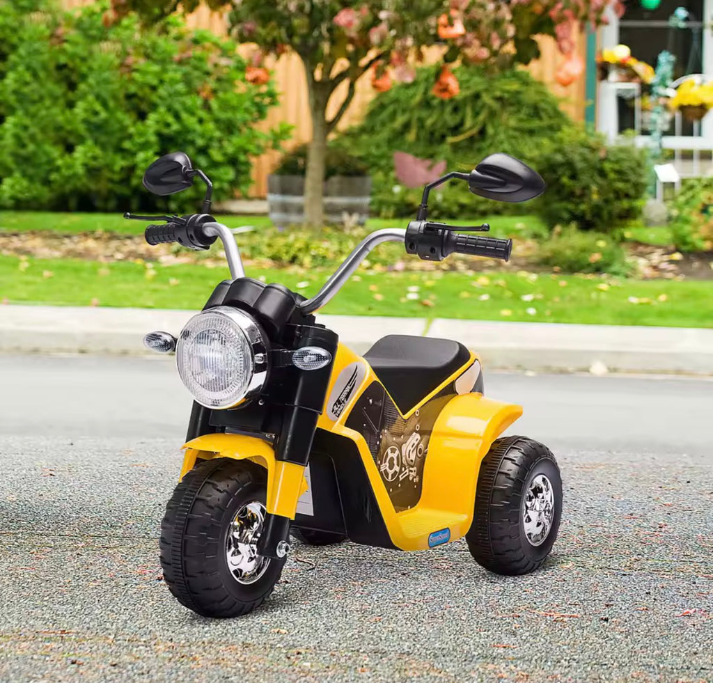 Electric Motorbike 6V Battery